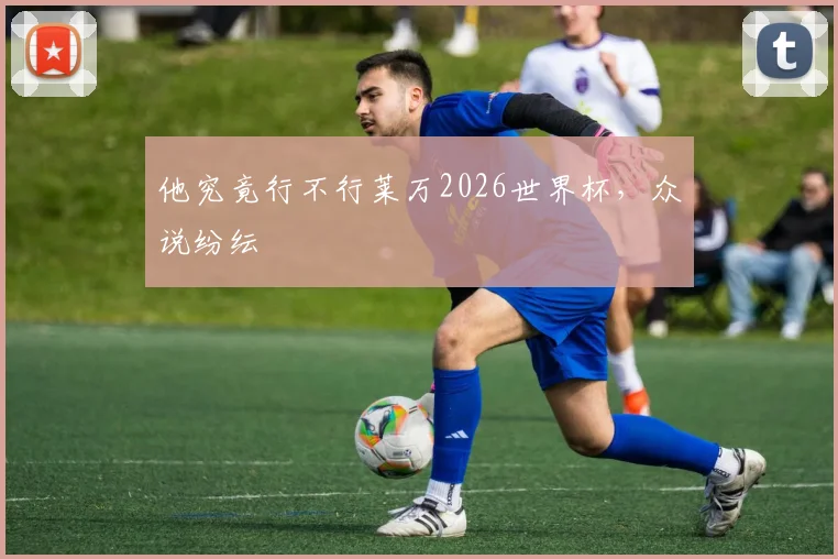 他究竟行不行莱万2026世界杯,众说纷纭