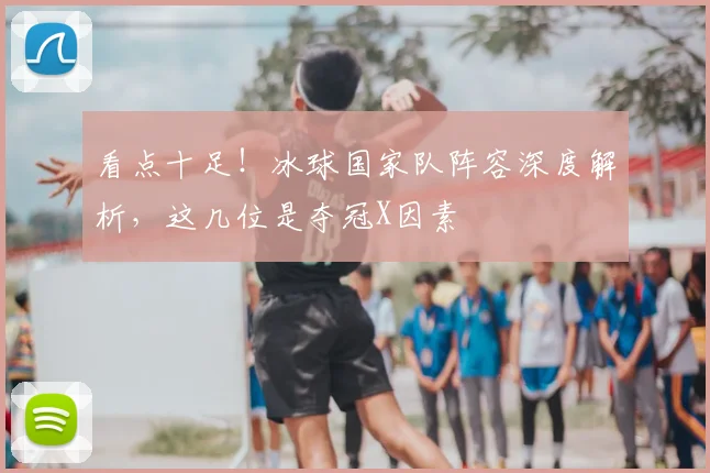 看点十足!冰球国家队阵容深度解析,这几位是夺冠X因素