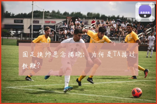 国足换帅悬念揭晓：为何是TA接过教鞭？